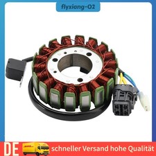 Stator Lichtmaschine für